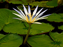 %_tempFileName04-20050731-0211%