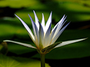 %_tempFileName05-20050820-0174%