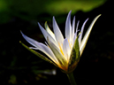 %_tempFileName06-20050827-0151%