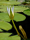 %_tempFileName09-20060818-0210%