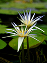 %_tempFileName10-20060827-0004%
