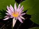 %_tempFileName09-20040208-0043%