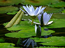 %_tempFileName01-20061123-0175%