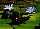 %_tempFileName02-20070120-0084%