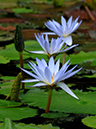 %_tempFileName04-20070218-0342%