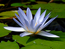 %_tempFileName05-20070310-0297%
