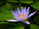 %_tempFileName06-20090607-0024%
