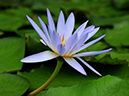 %_tempFileName07-20090725-0525%