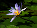 %_tempFileName08-20090830-0002%