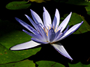 %_tempFileName09-20091108-0036%