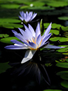 %_tempFileName10-20100404-0260%