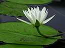%_tempFileName02-20001105-0011%