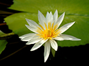 %_tempFileName08-20050724-0229%