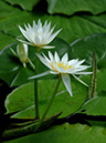 %_tempFileName09-20060304-0205%