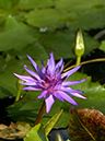 %_tempFileName04-20050116-0155%
