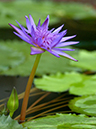 %_tempFileName05-20050205-0556%