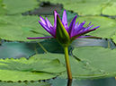 %_tempFileName06-20050212-0456%