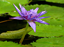 %_tempFileName07-20050306-0090%