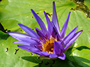 %_tempFileName08-20051002-0158%