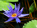 %_tempFileName09-20051218-0041%