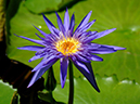 %_tempFileName10-20060416-0184%