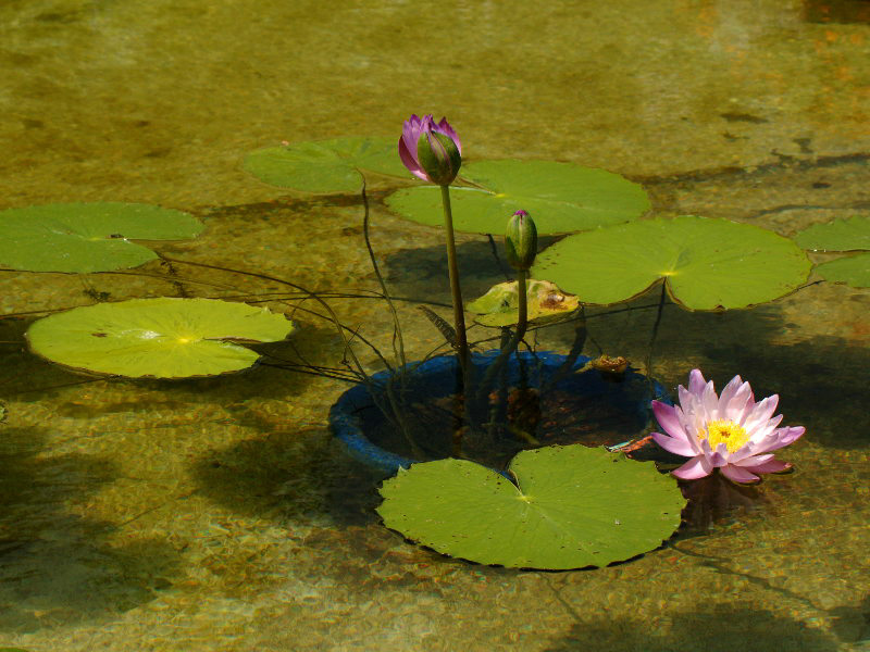 %_tempFileName03-20050827-0073%