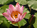 %_tempFileName01-20050819-0063%
