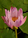 %_tempFileName02-20050819-0082%