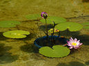 %_tempFileName03-20050827-0073%