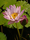 %_tempFileName04-20050819-0179%