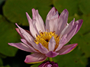 %_tempFileName05-20050819-0235%