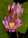 %_tempFileName06-20050820-0002%
