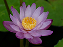 %_tempFileName07-20050820-0275%