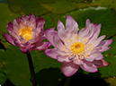 %_tempFileName08-20050827-0003%