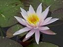 %_tempFileName01-20010527-0035%