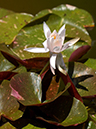 %_tempFileName05-20040613-0042%
