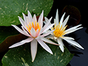 %_tempFileName07-20060818-0043%