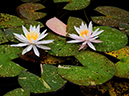 %_tempFileName09-20090802-0050%