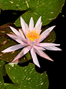 %_tempFileName10-20120812-0255%