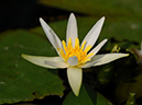 %_tempFileName02-20090830-0115%
