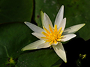 %_tempFileName03-20090830-0116%