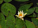 %_tempFileName05-20100928-0256%