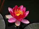 %_tempFileName01-20100509-0394%