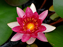 %_tempFileName02-20060820-0338%