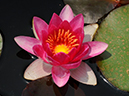 %_tempFileName03-20080706-0314%