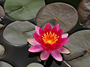 %_tempFileName04-20100509-0392%