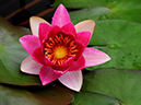 %_tempFileName05-20100704-0410%