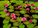 %_tempFileName06-20100725-0382%