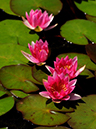 %_tempFileName07-20100725-0383%