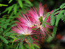 %_tempFileName01-20090329-0228%
